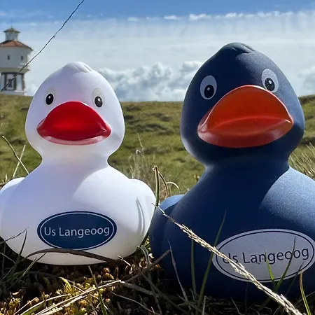 Inselresidenz Seeschwalbe בית נופש *